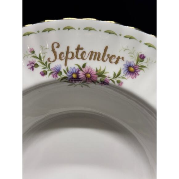 Royal Albert Bone China September Bowl & Duchess September Teacup – Daisies - Picture 5 of 15